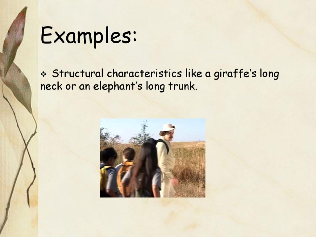 Behavioral & Structural Adaptations Science SOL 4.5.a - ppt download