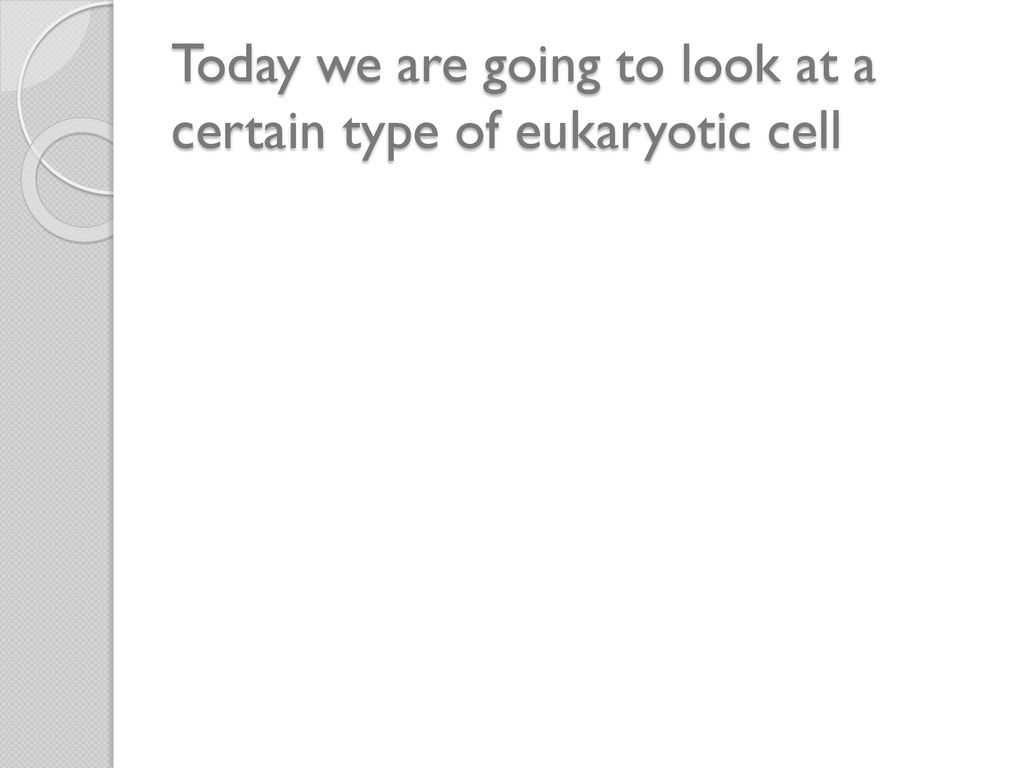 Today we are going to look at a certain type of eukaryotic cell