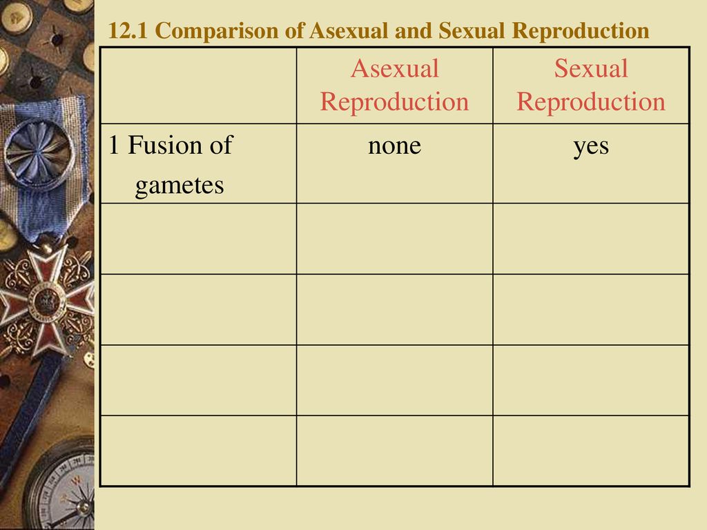 Ch 12 Reproduction,Development Biology Diagrams