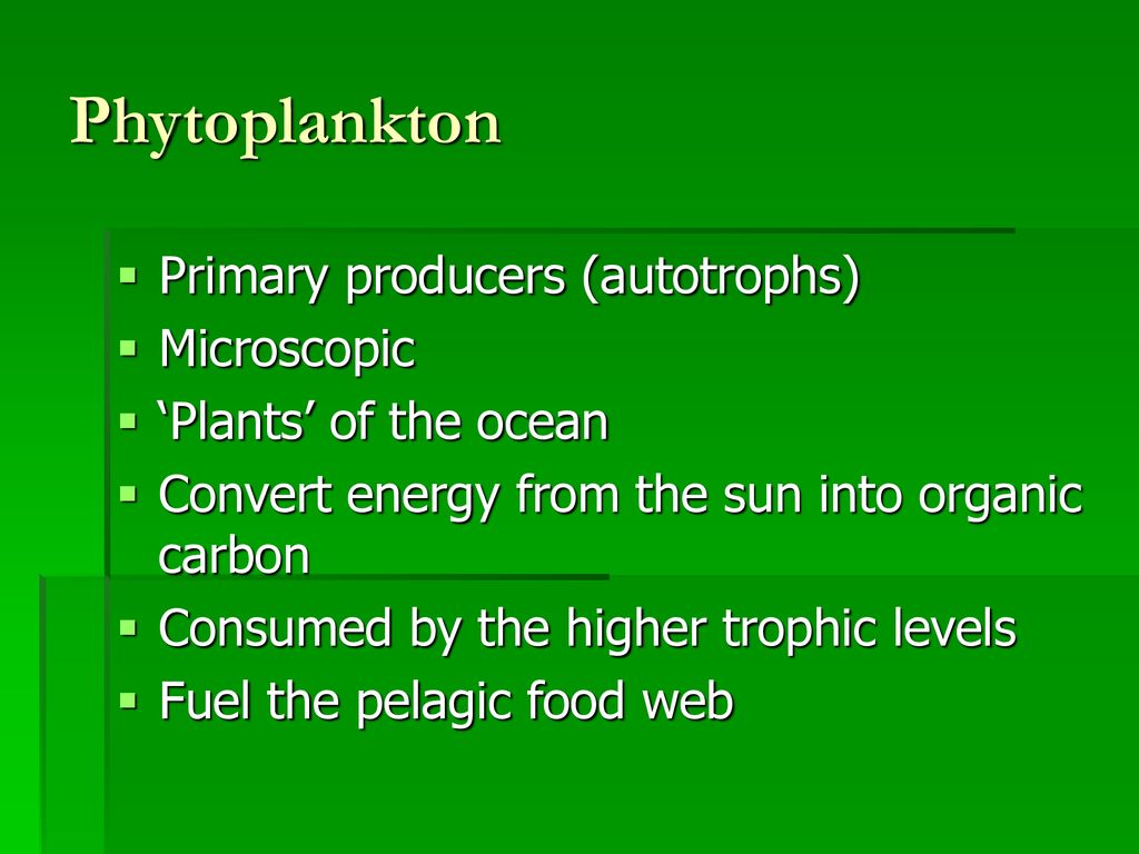 Phytoplankton in the Stratified Ocean: Who’s where and why? Biology Diagrams