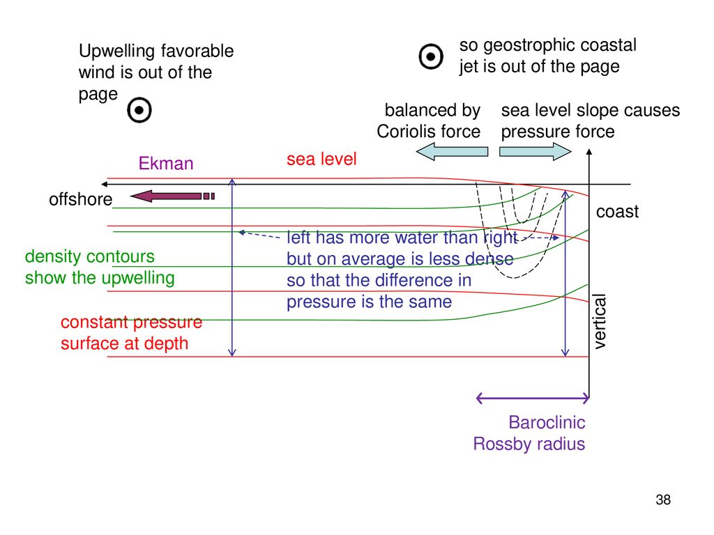 Wind-driven currents and upwelling - ppt download