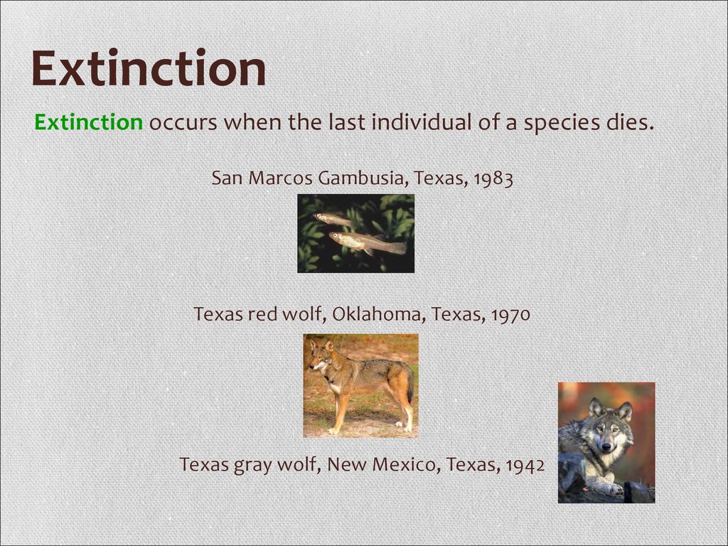 Biodiversity Biodiversity refers to the number and variety of species
