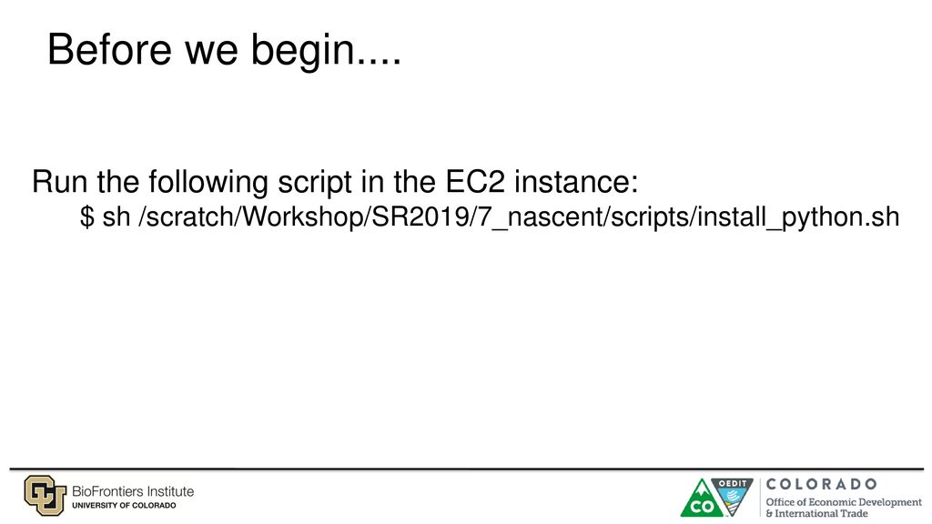 Quality Control & Nascent Sequencing - ppt download
