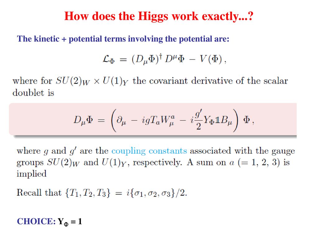 Theory Foundations of the Two Higgs Doublet Model - ppt download