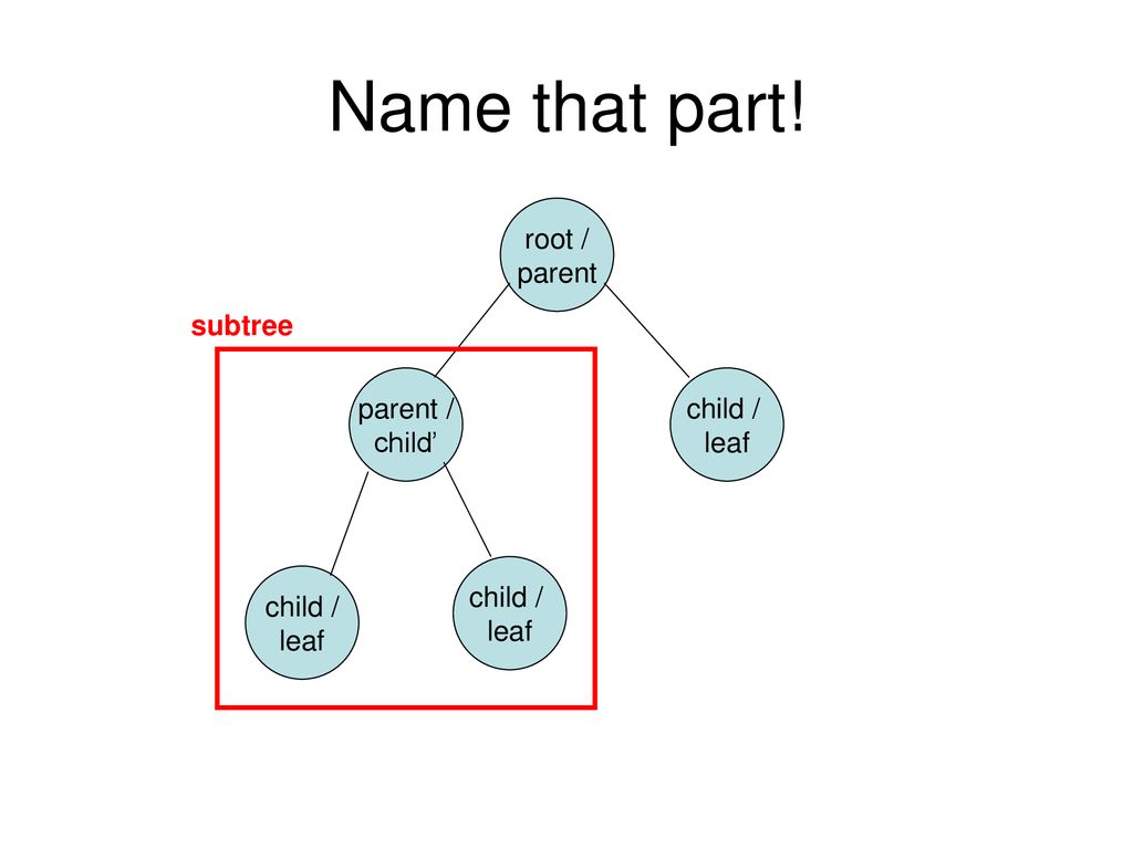 Data Structures – Binary Tree - ppt download