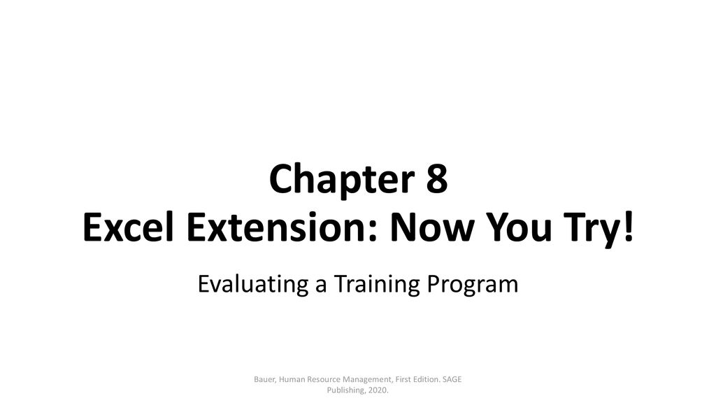 Chapter 8 Excel Extension: Now You Try!