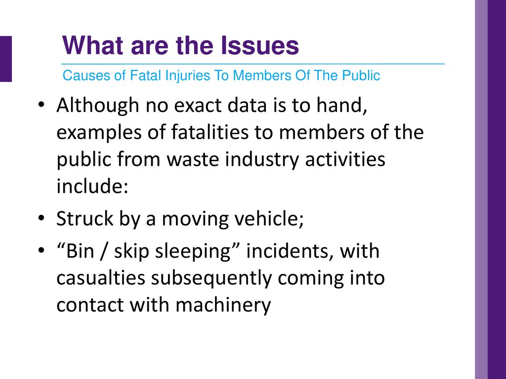 What are the Issues Causes of Fatal Injuries To Members Of The Public.
