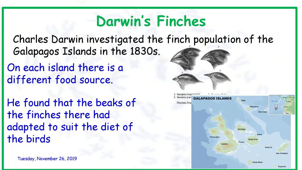 National 5 Biology Unit 3 Life On Earth Ppt Download
