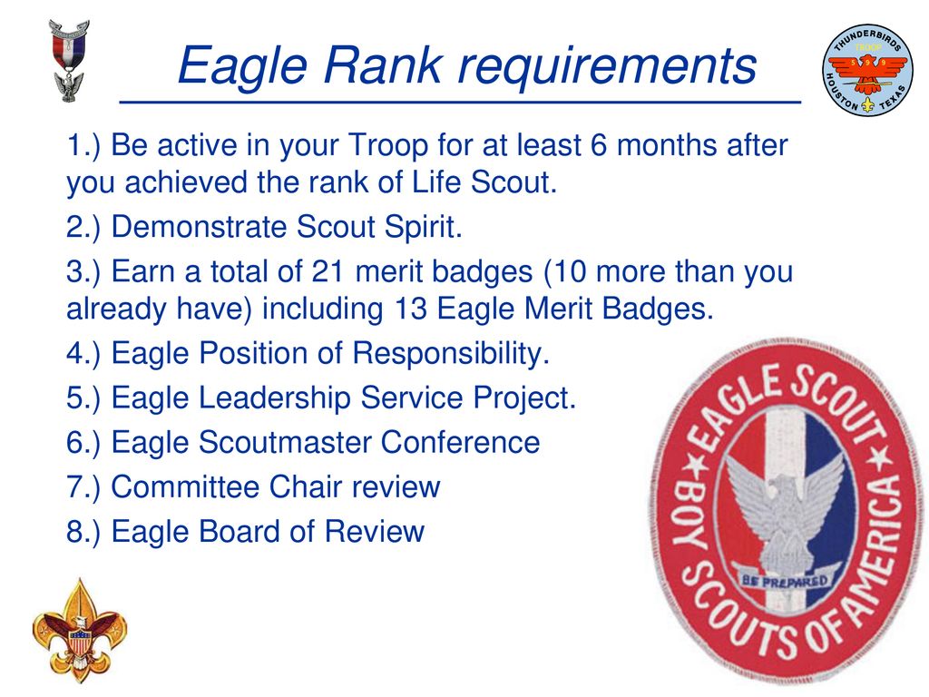 Eagle Rank Requirements 2025