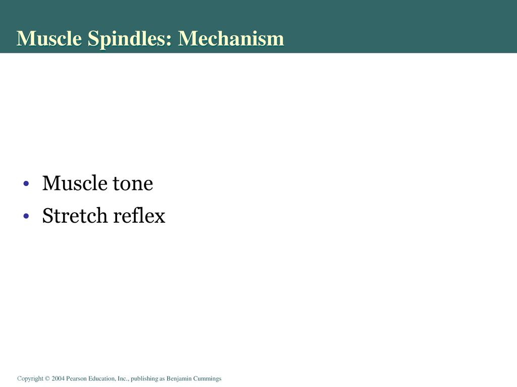 Integrative Physiology I: Control of Body Movement Biology Diagrams