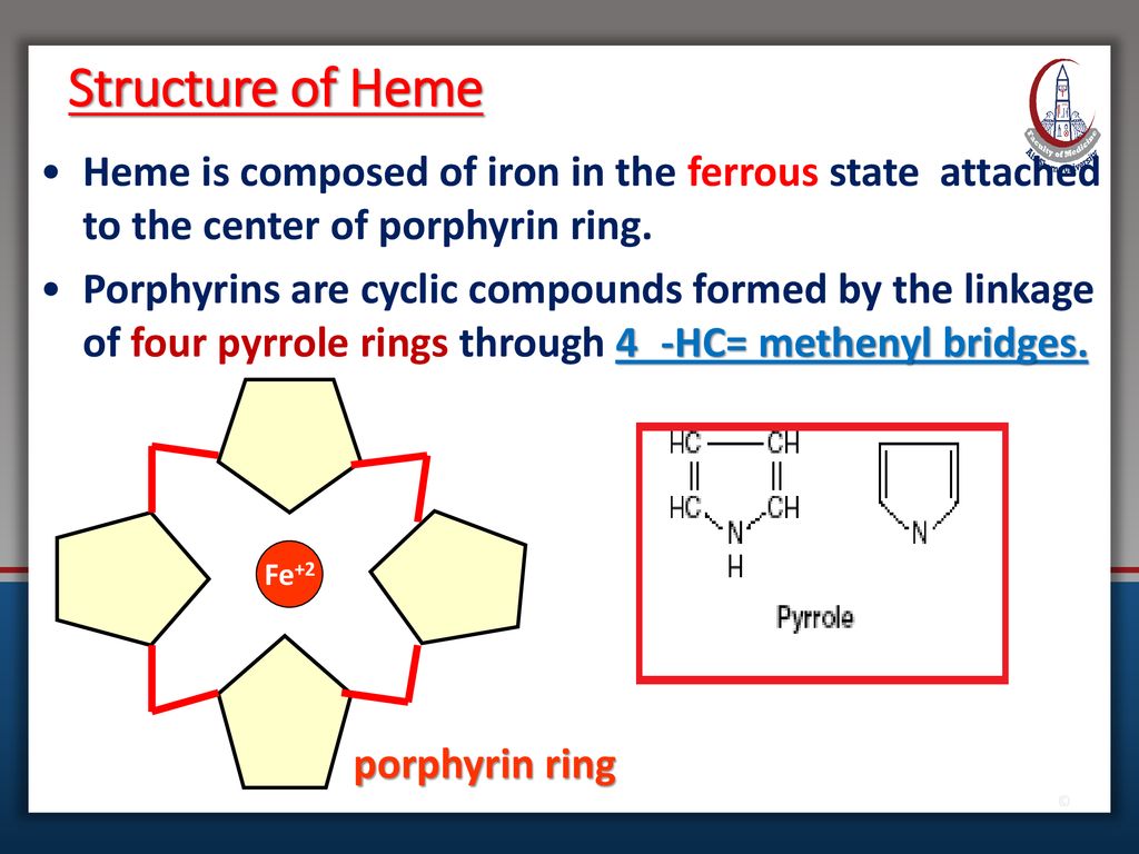 SOLVED: The porphyrin ring is the basic structure in the chlorophylls and  the heme group, and can be modeled to a first approximation as a particle  on a ring. Treat this system