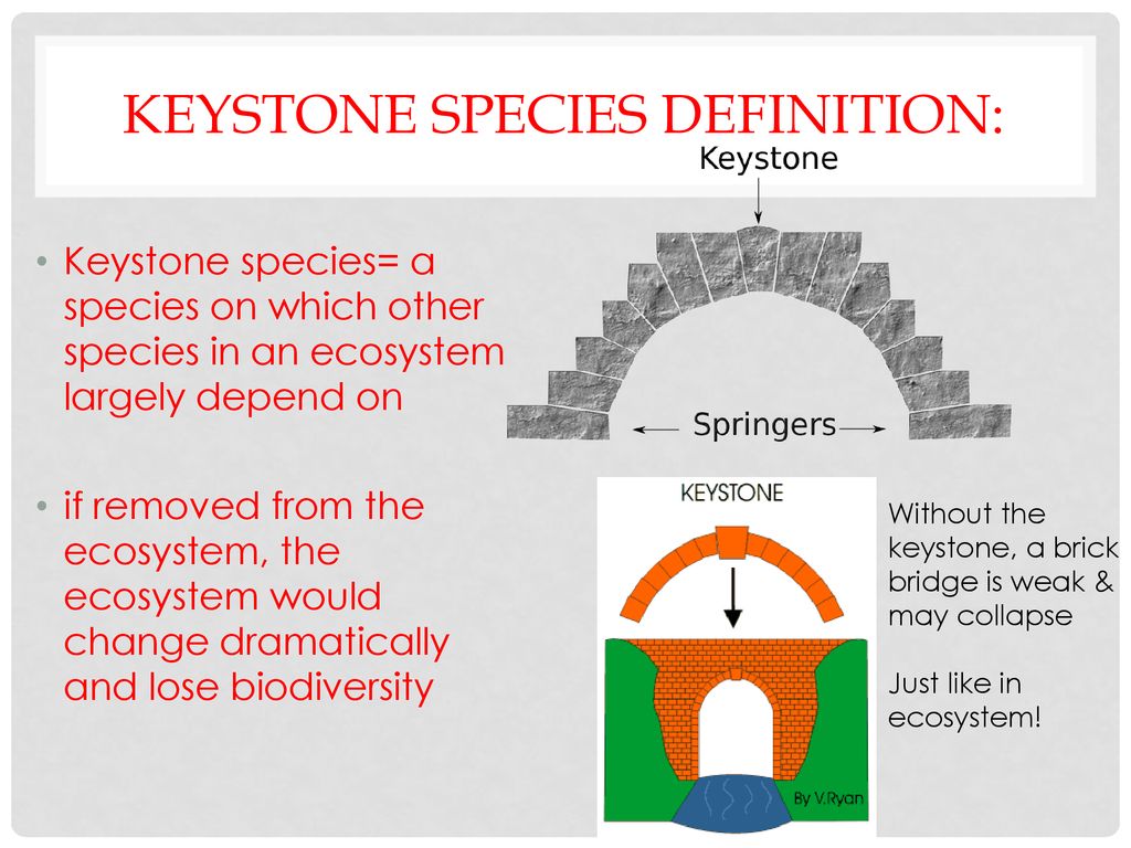 The keystone metaphor. The keystone is the component of a