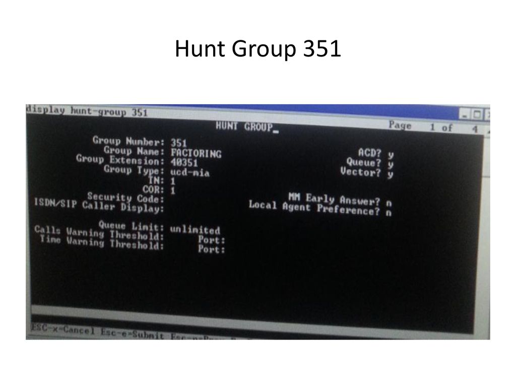 Hunt Group 351