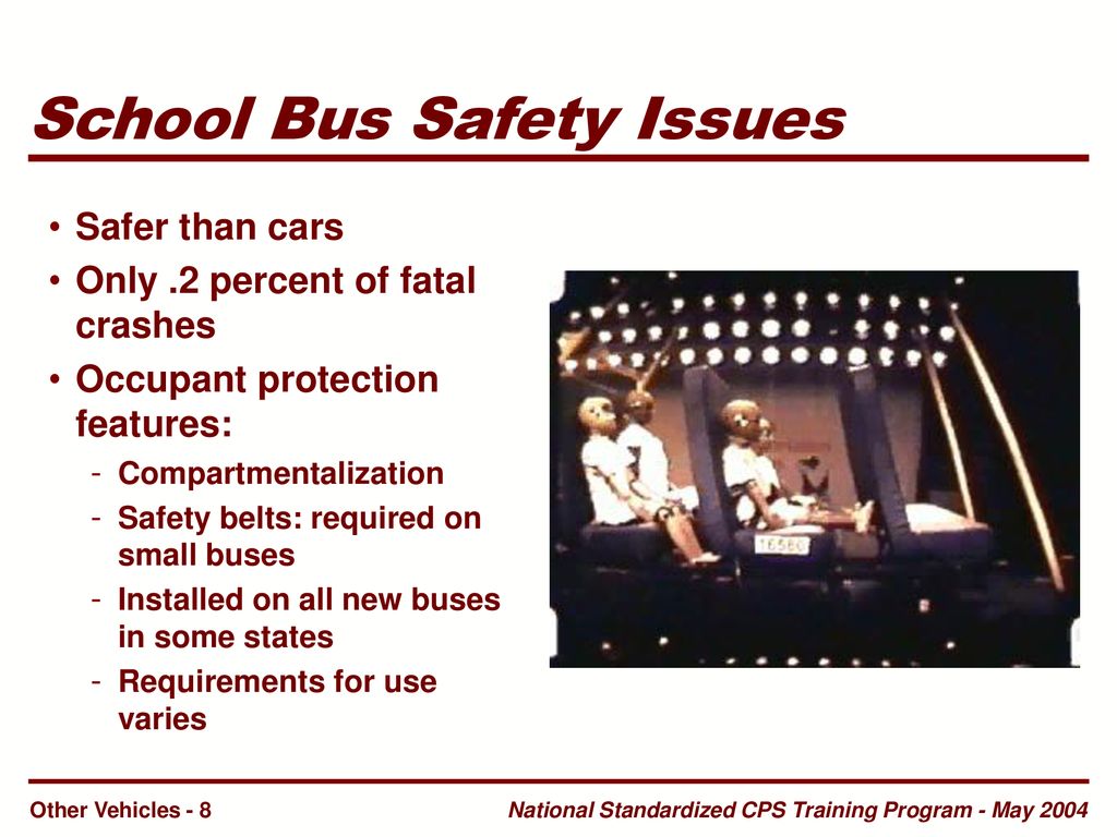 School Bus Safety Issues School Bus Safety Issues