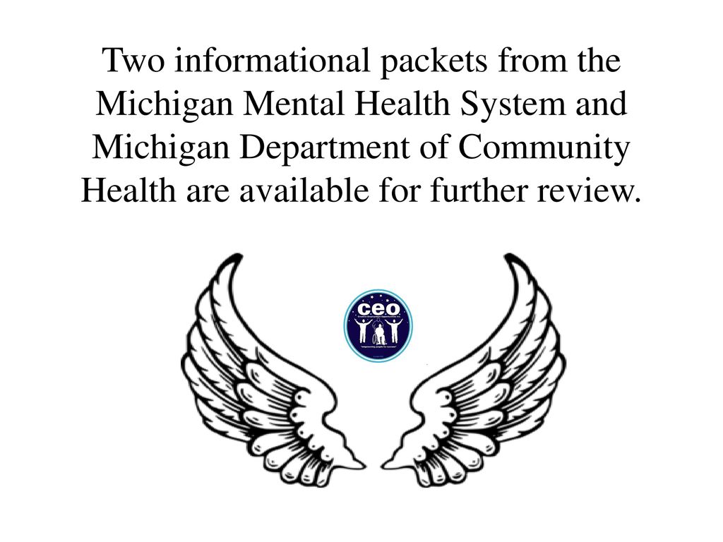 Two informational packets from the Michigan Mental Health System and Michigan Department of Community Health are available for further review.