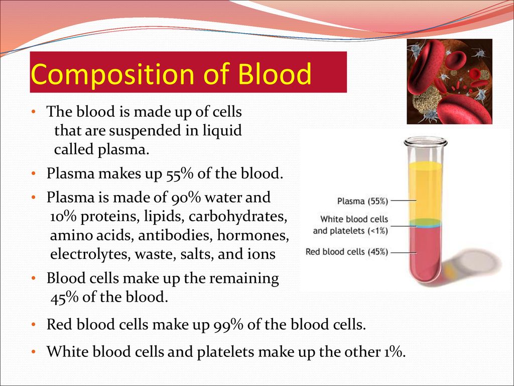 The Structure and Function of Blood Biology Diagrams