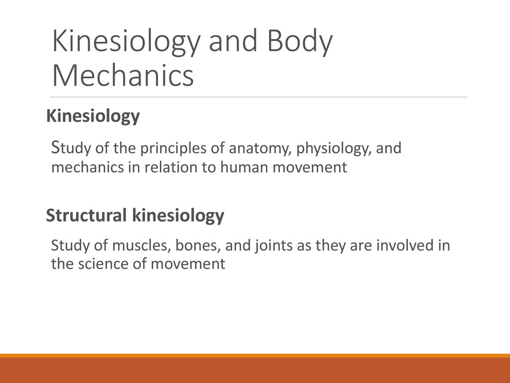 EXSC 314 PPT Series 1A Foundations of Structural Kinesiology - ppt download