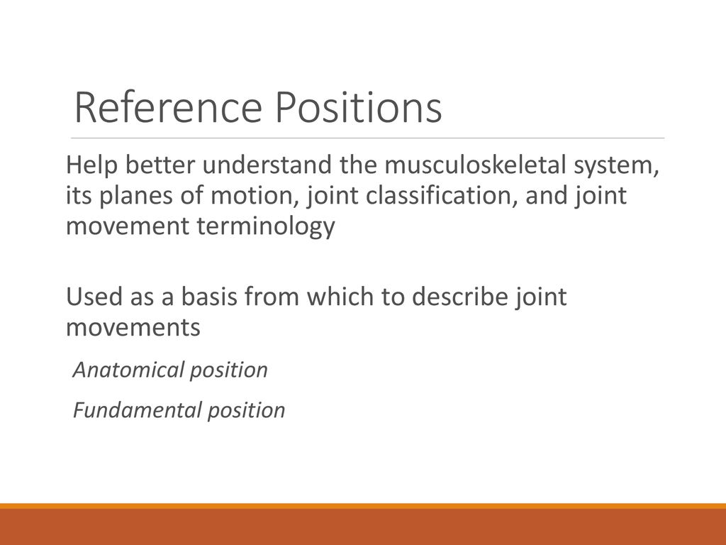 EXSC 314 PPT Series 1A Foundations of Structural Kinesiology Biology Diagrams