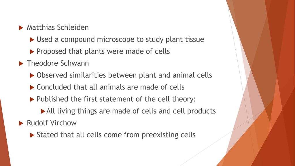 Cell Structure and Function - ppt download