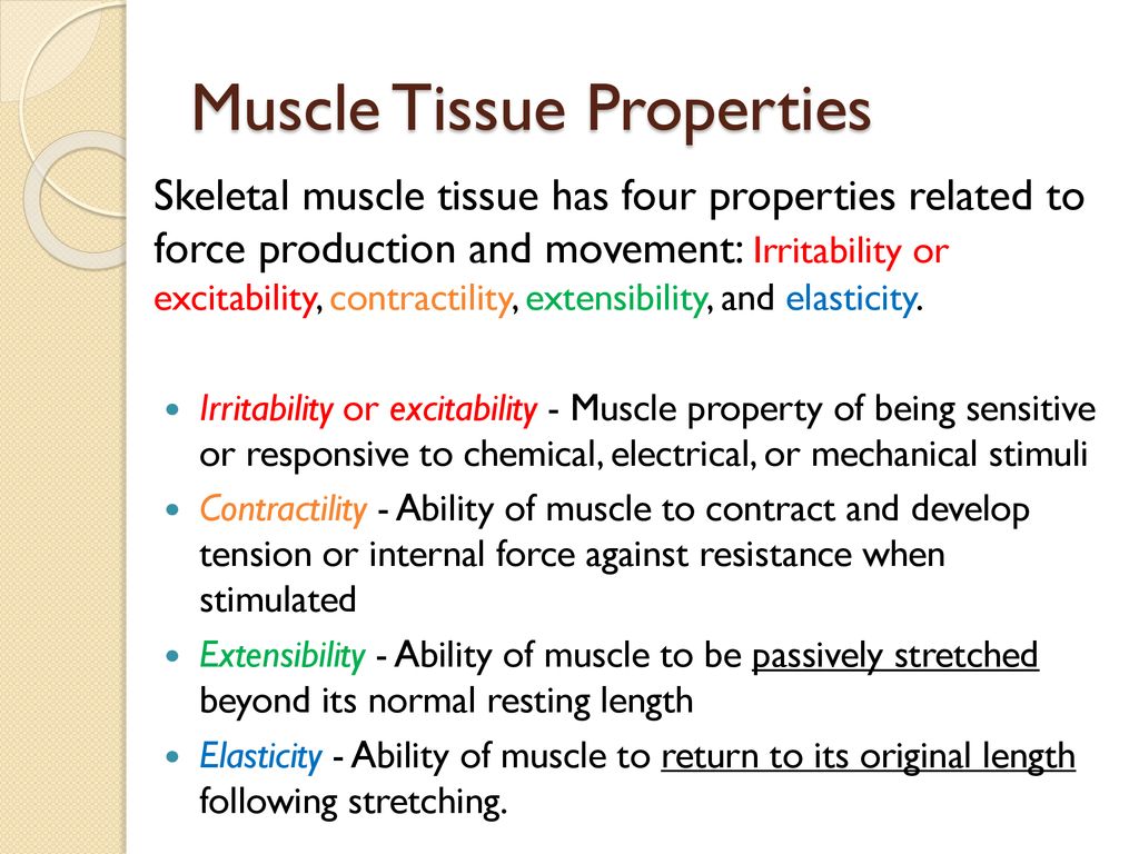 Chapter 2 Neuromuscular Fundamentals PPT Series 2A - ppt download