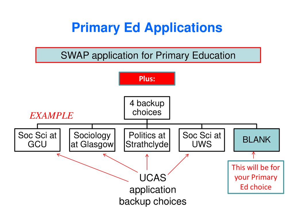 How to apply to primary education ppt download