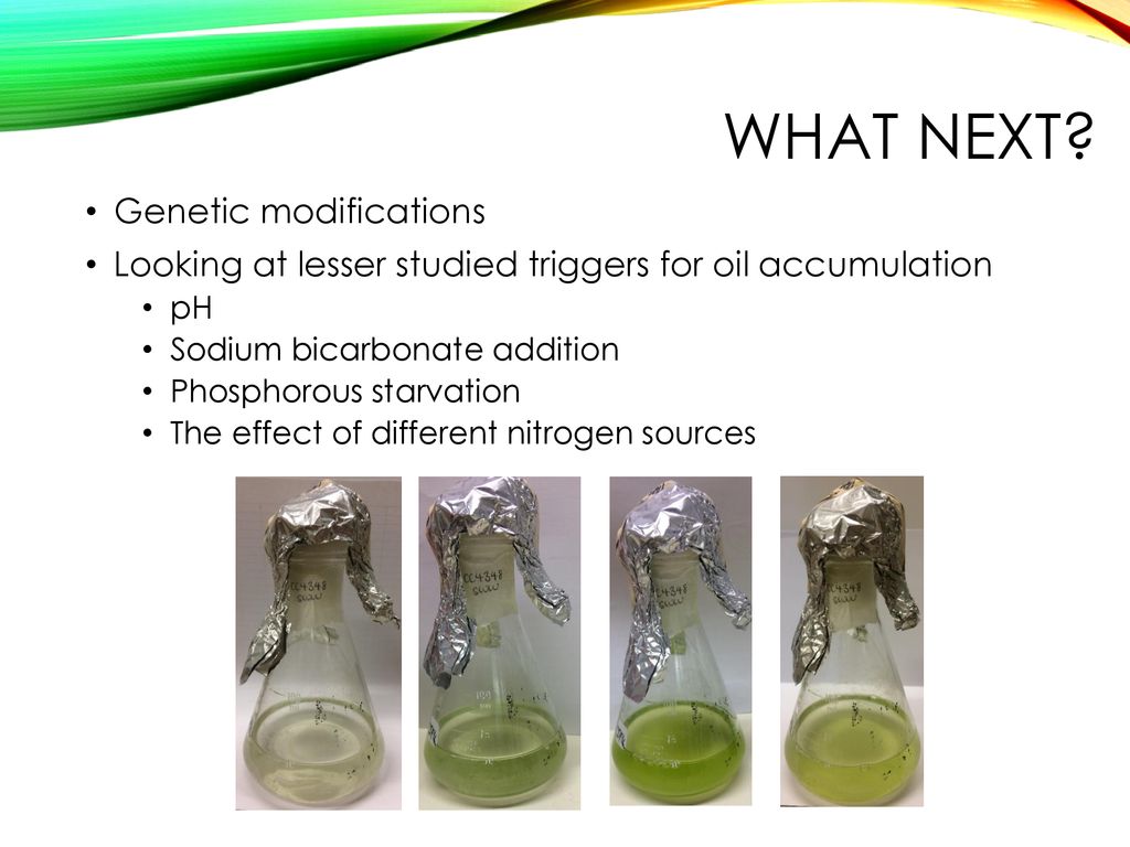 Microalgae for energy production and nutrient recycling ppt download