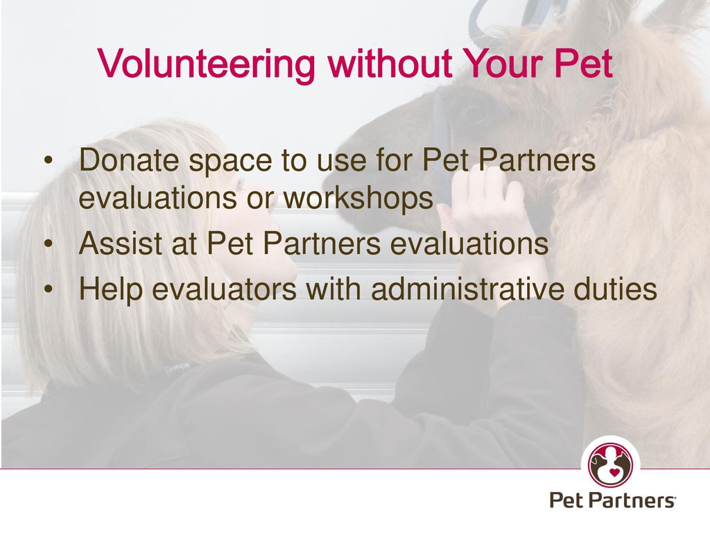 Volunteering With Your Pet In your Country area Here Ppt Download pet-partners-animal-evaluation-mo