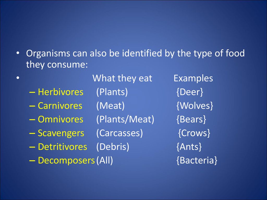 Lecture #2 How Ecosystems Work - ppt download