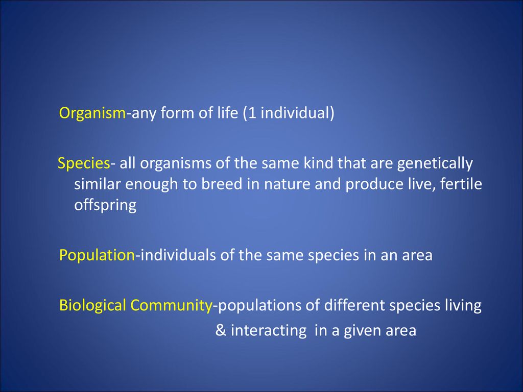 lecture-2-how-ecosystems-work-ppt-download