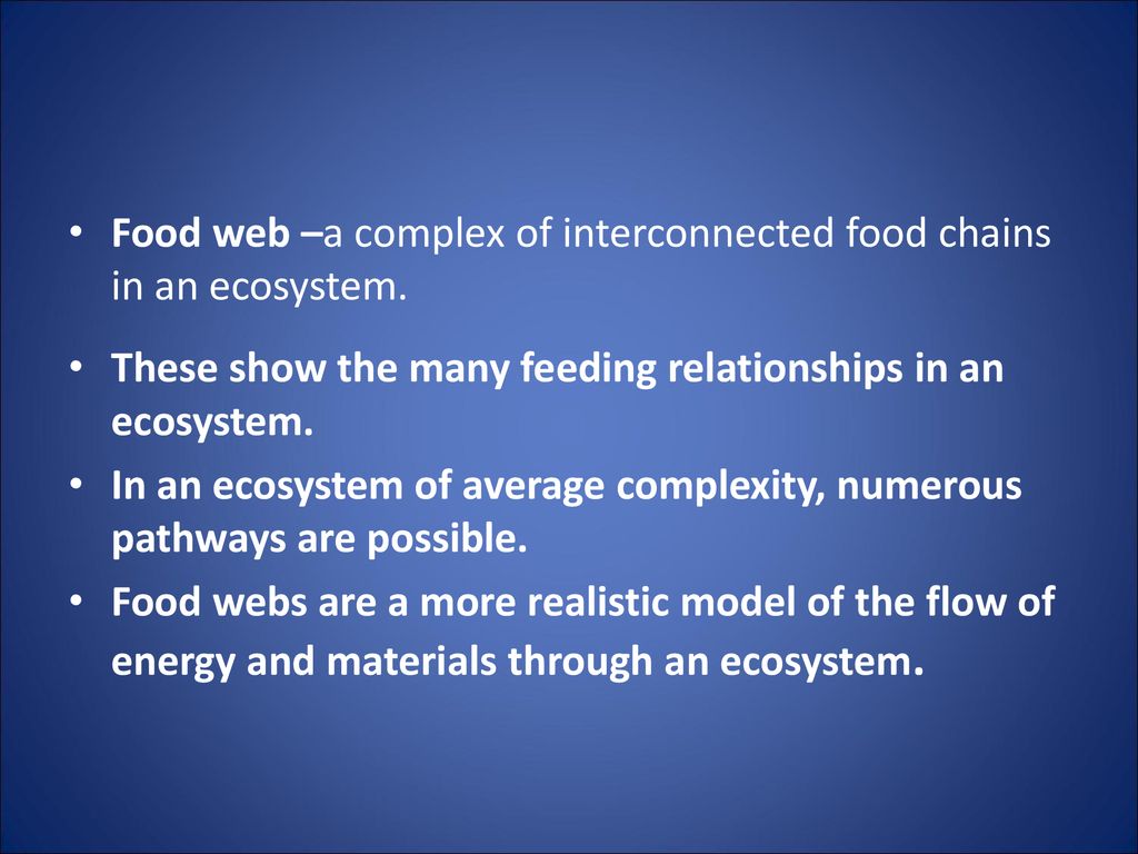 Lecture #2 How Ecosystems Work Biology Diagrams