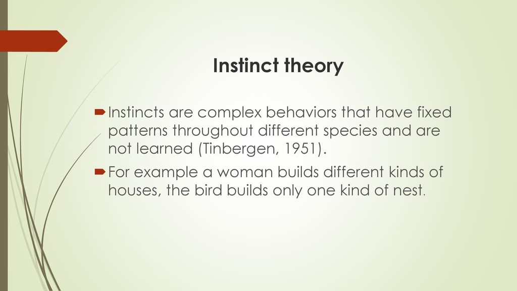Instinct theory Instincts are complex behaviors that have fixed patterns throughout different species and are not learned (Tinbergen, 1951).