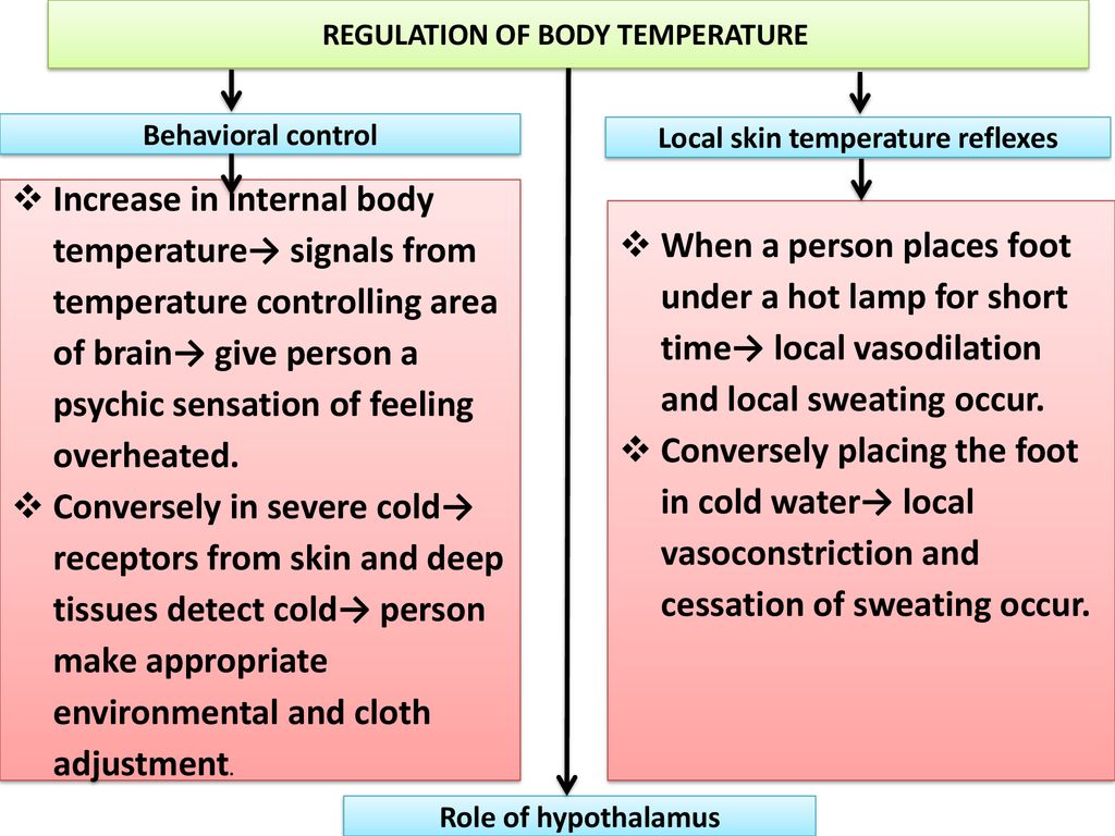 BODY TEMPERATURE REGULATION AND FEVER - ppt download
