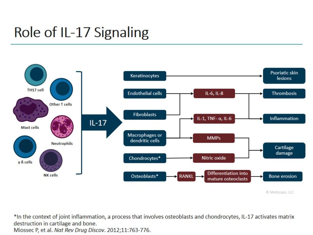 Role of IL-17 Signaling