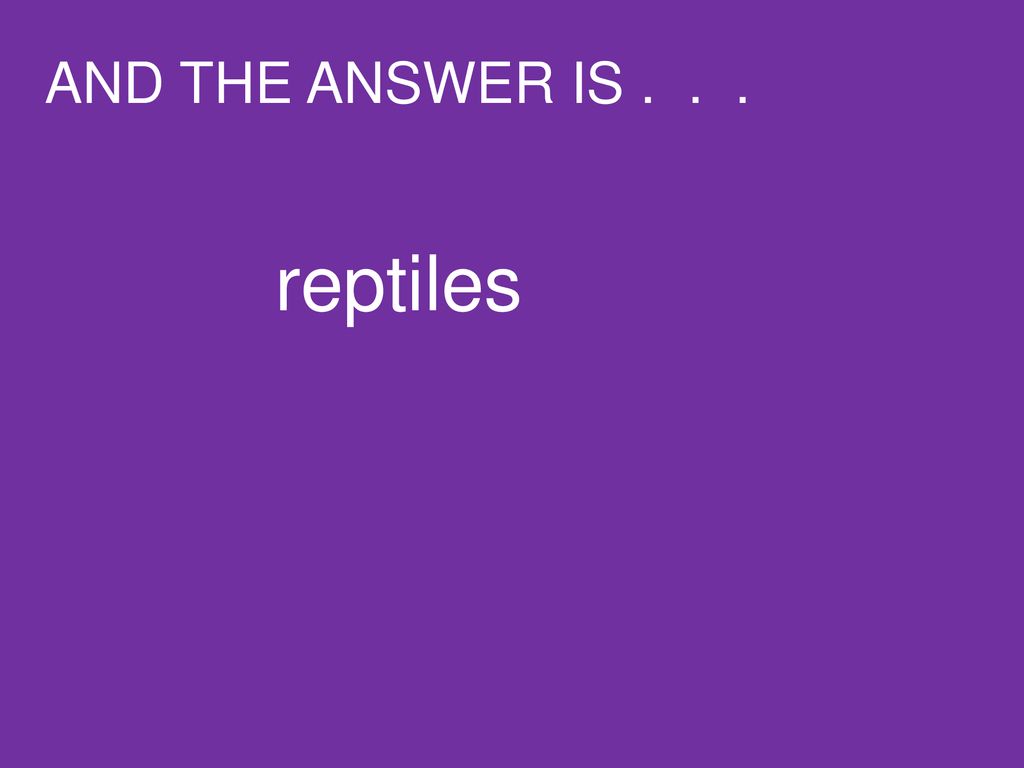 AND THE ANSWER IS reptiles