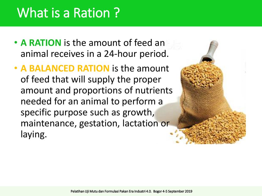 Ration Formulation for Ruminant - ppt download