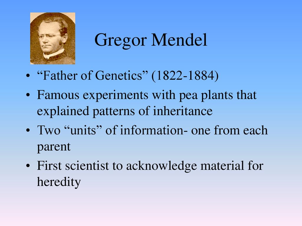 2. Which organelle is this structure located in? - ppt download