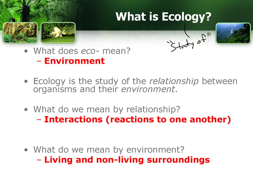 1 1 Introduction To Ecology Structure Of Ecosystems Ppt Download 1-1-introduction-to-ecology-structure-of-ecosystems-ppt-download
