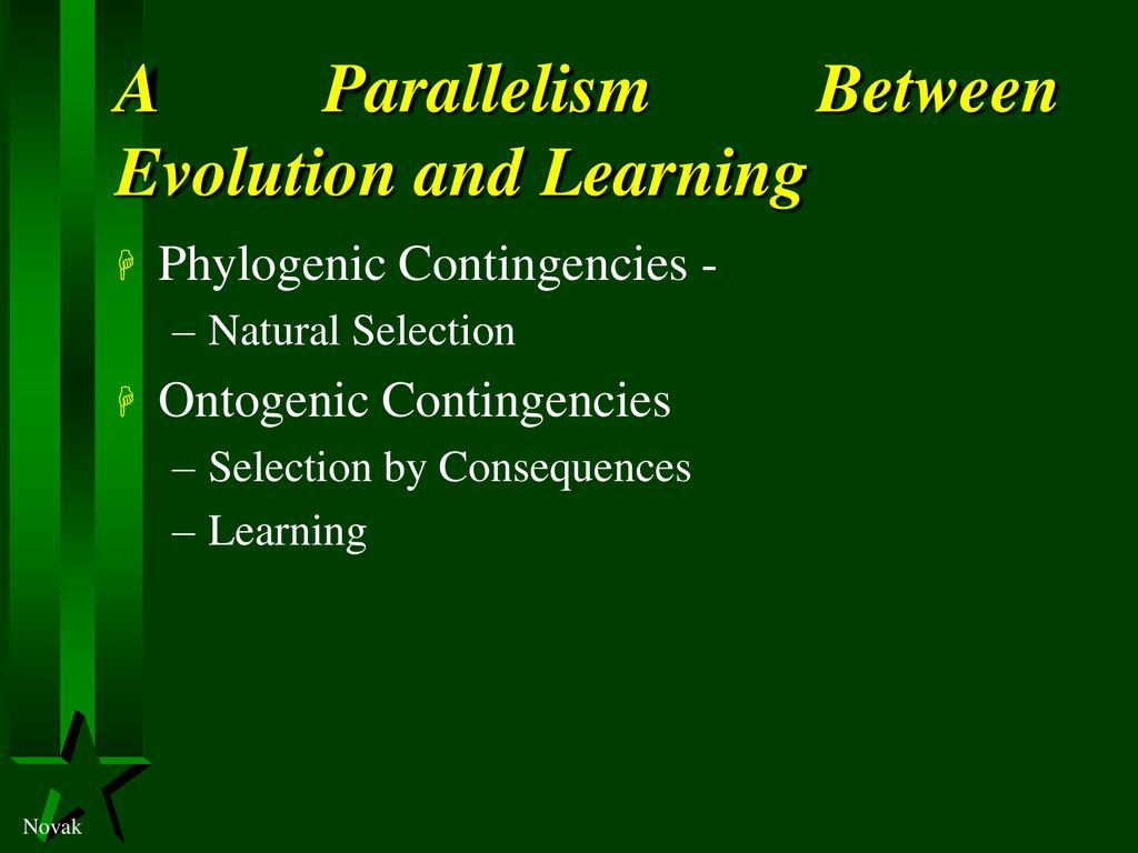 A Parallelism Between Evolution and Learning