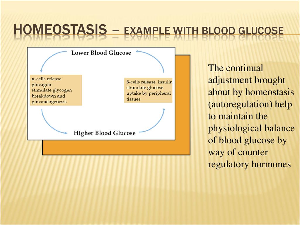 Homeostatic Systems and Drugs - ppt download