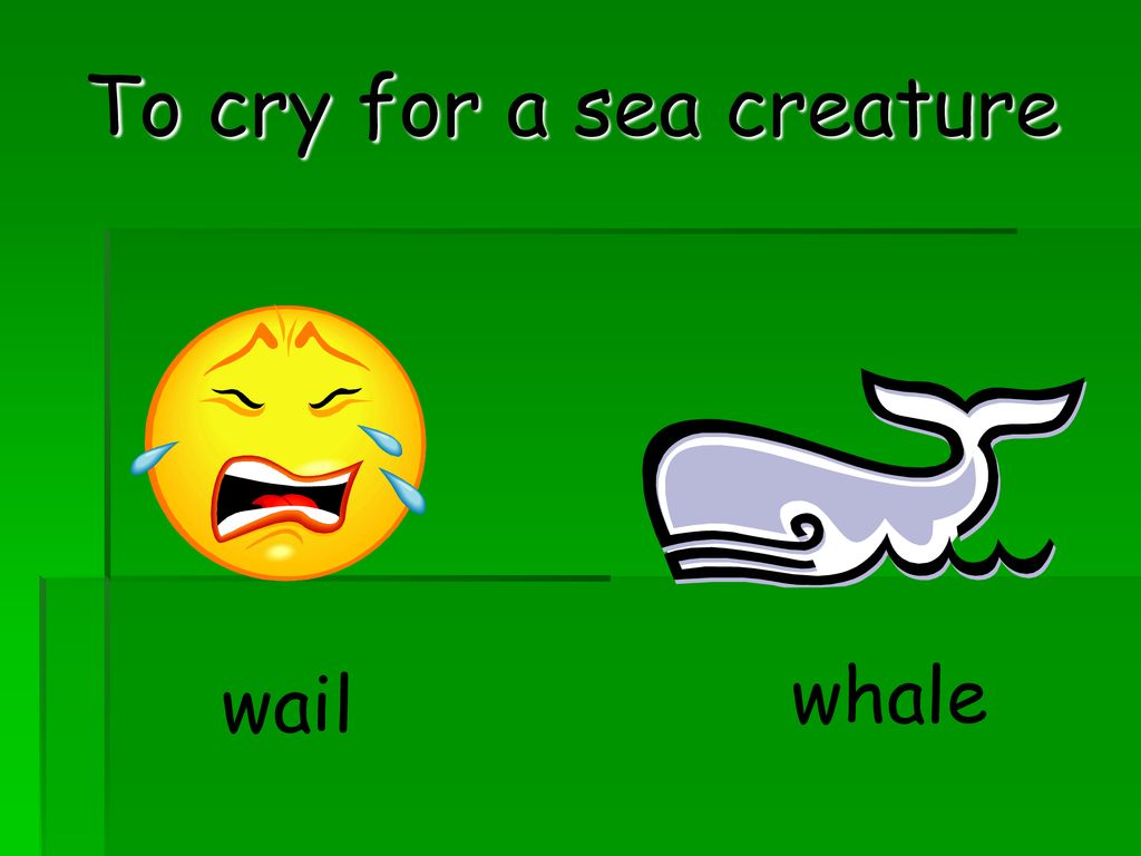 To cry for a sea creature