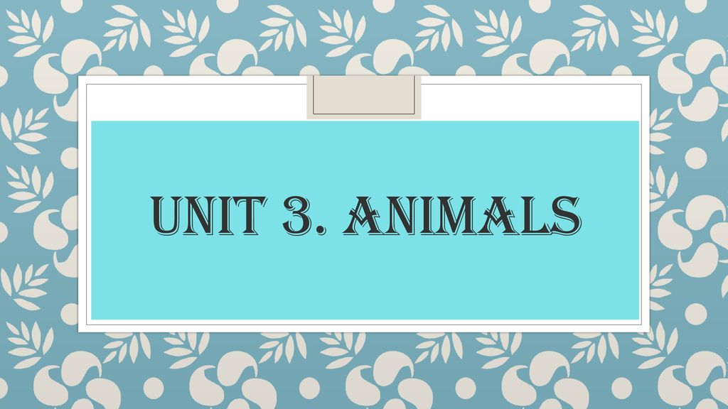 UNIT 3. ANIMALS. - ppt download
