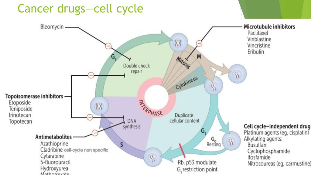 Drug Treatment of Hematopoietic Malignancy Biology Diagrams