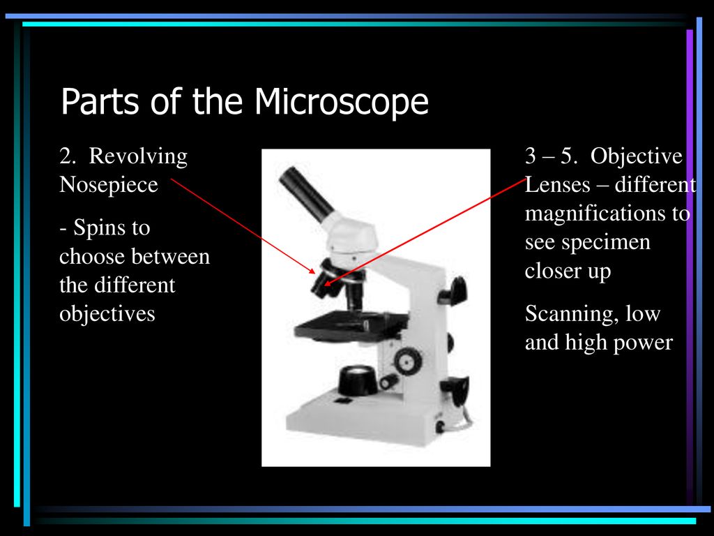 Microscopes Section ppt download