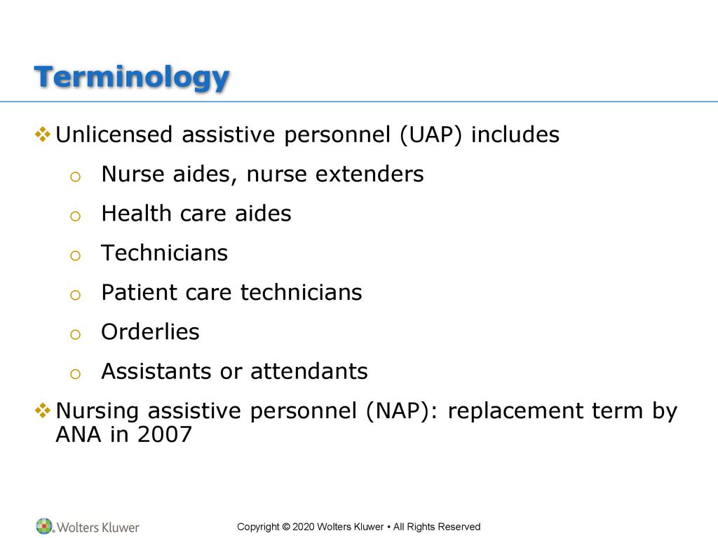 chapter-8-unlicensed-assistive-personnel-and-the-registered-nurse-ppt
