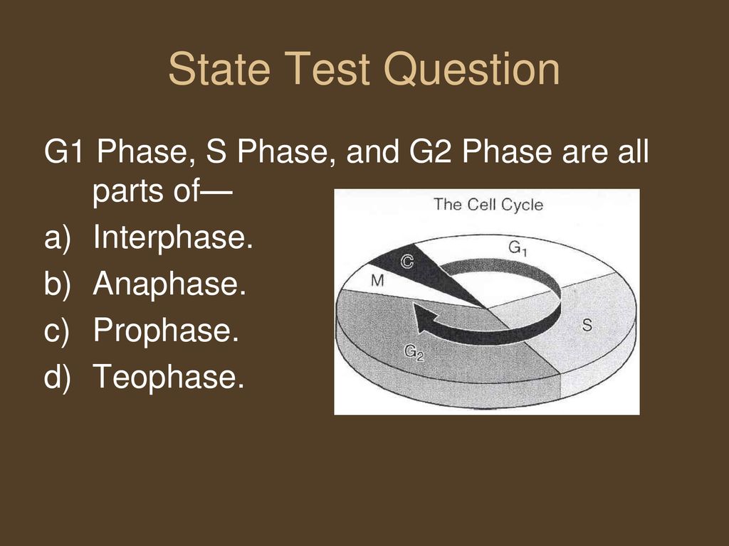 Chromosomes and Cell Reproduction Biology Diagrams