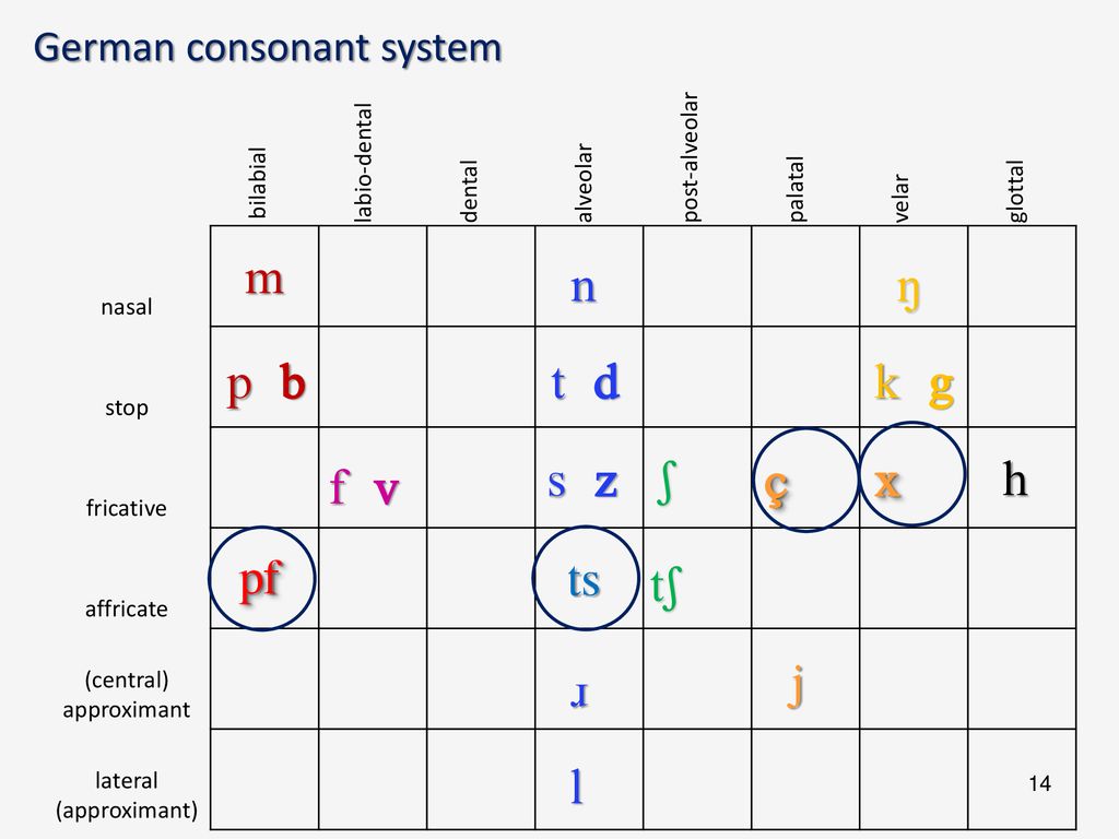 Sltd04 Clinical Linguistics And Phonetics Phonological System Natural Phonological Processes Dr Sally Bates 26 September Ppt Download