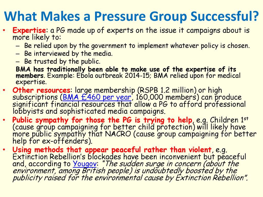 successful pressure groups