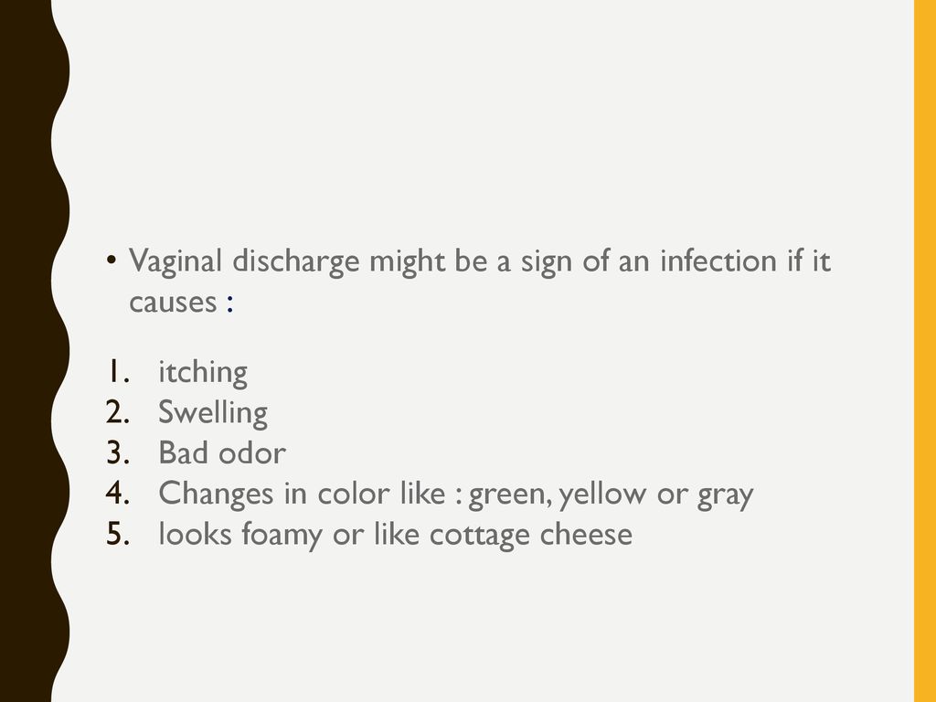 Vaginal Discharge And Stds Ppt Download