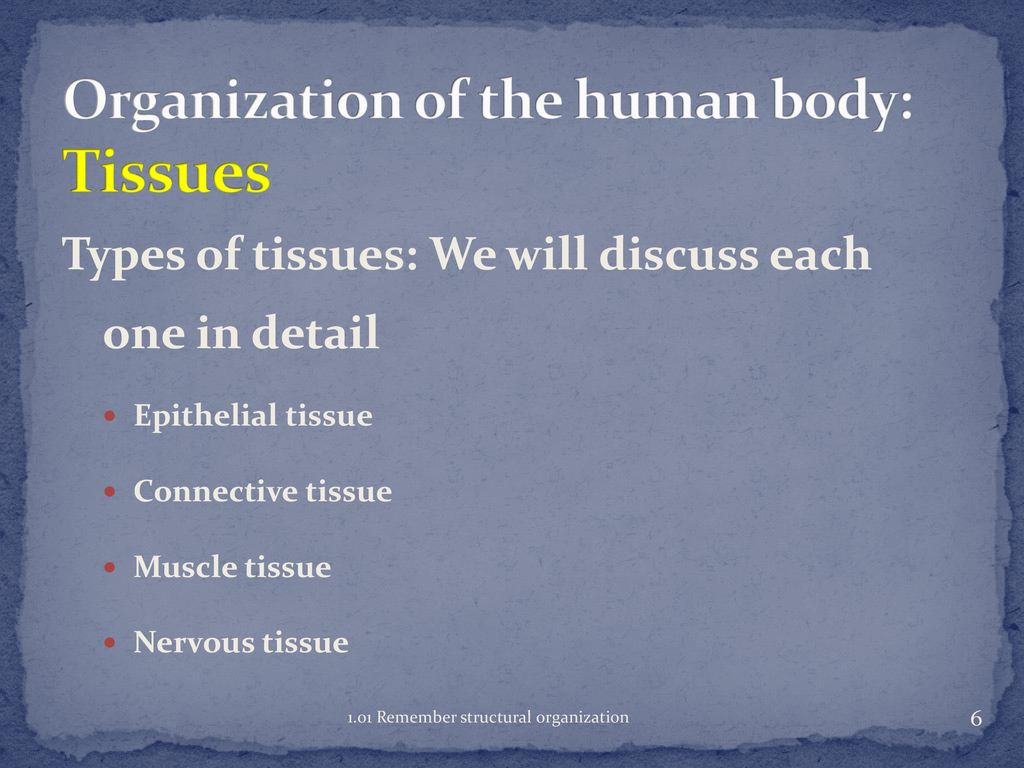 Anatomy and Physiology Biology Diagrams