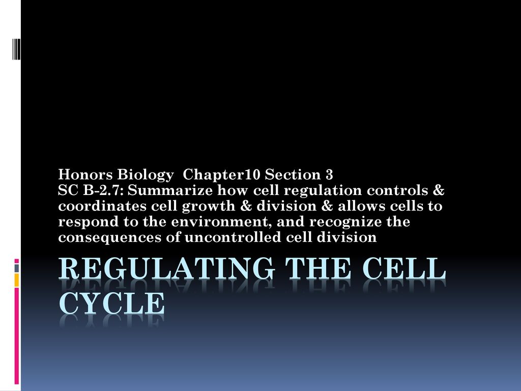Regulating the cell cycle Biology Diagrams